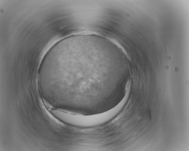 X0000072961484200608111638