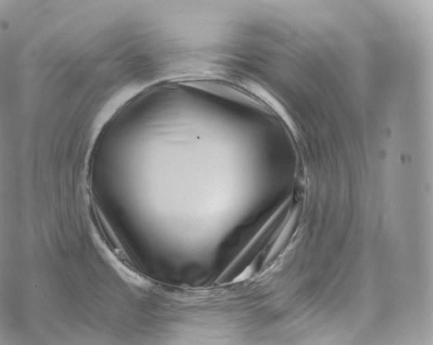 X0000072961485200608111638