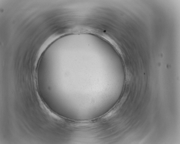 X0000072961486200608111638