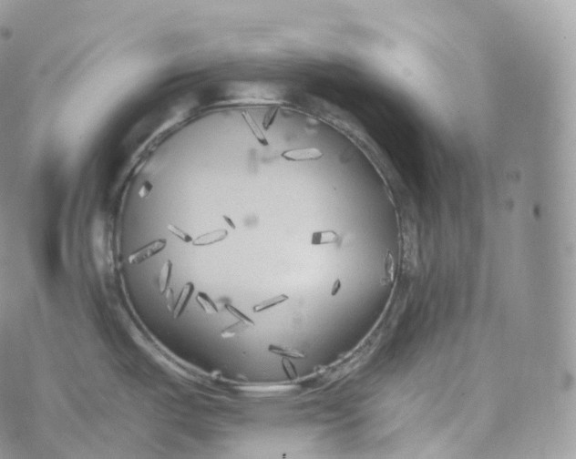 X0000072961487200608111638