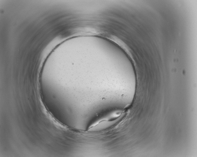 X0000072961488200608111638