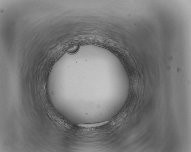 X0000072961489200608111637