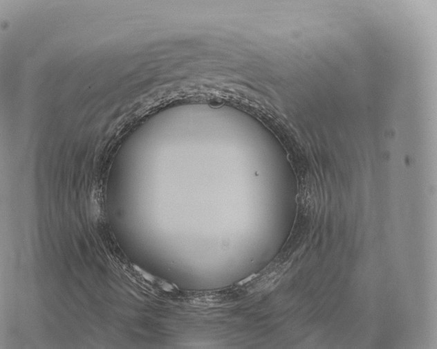 X0000072961490200608111637