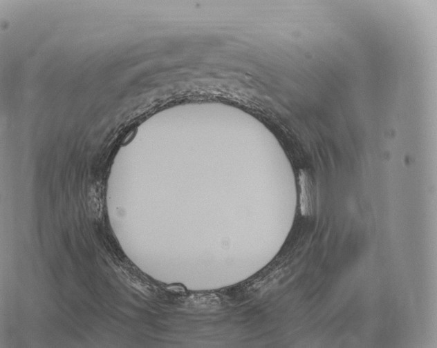 X0000072961491200608111637