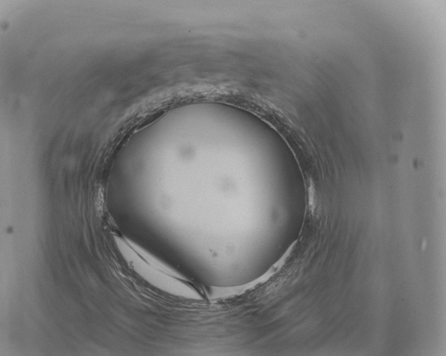 X0000072961492200608111637