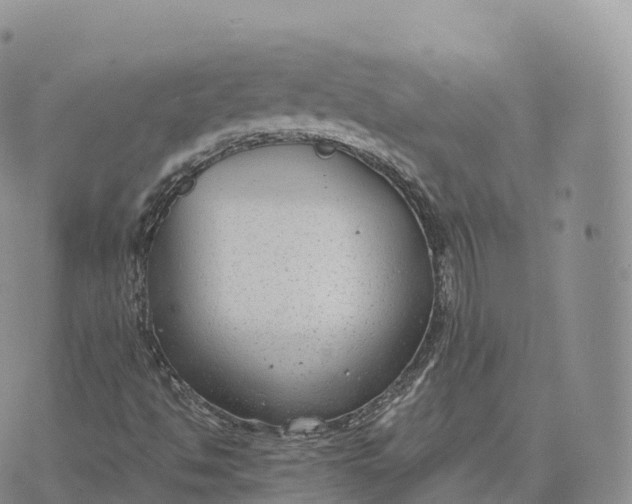 X0000072961494200608111637