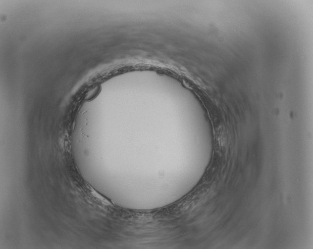 X0000072961495200608111638