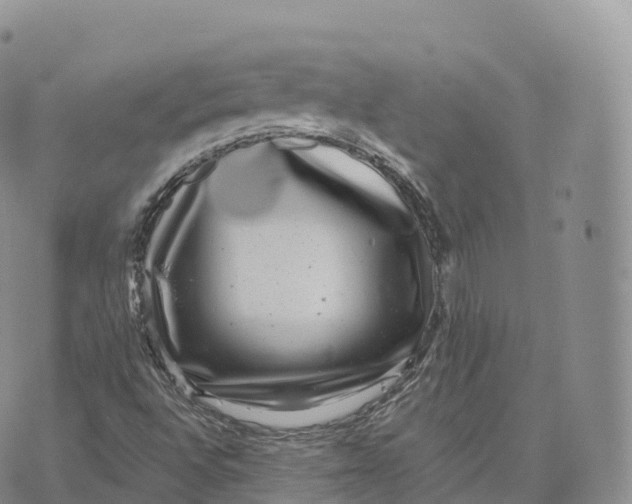 X0000072961496200608111638