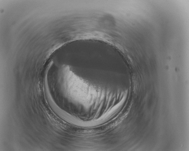 X0000072961497200608111638