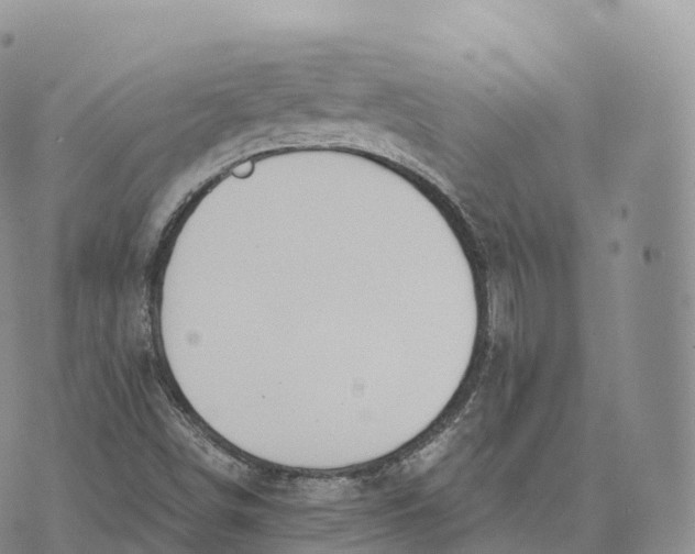 X0000072961498200608111638