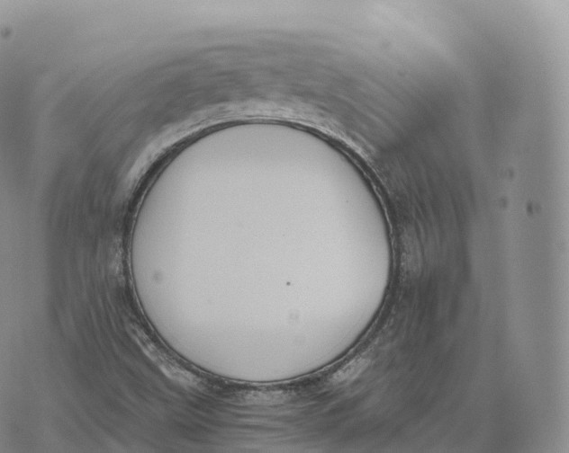 X0000072961499200608111638