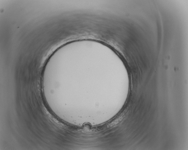 X0000072961500200608111638