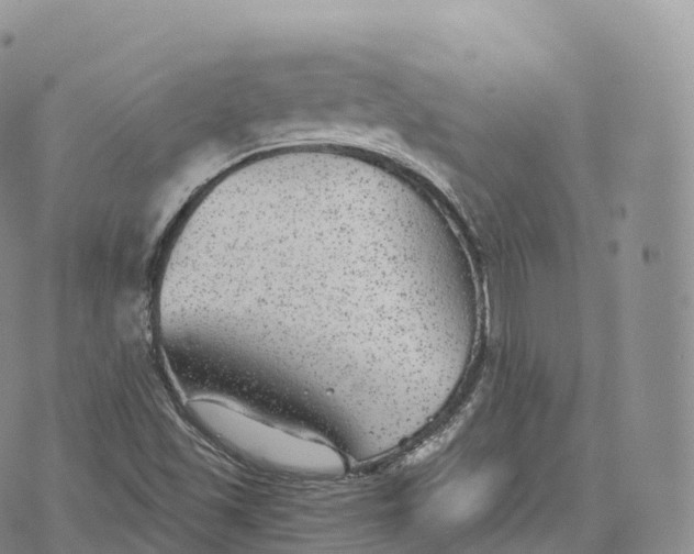 X0000072961501200608111638