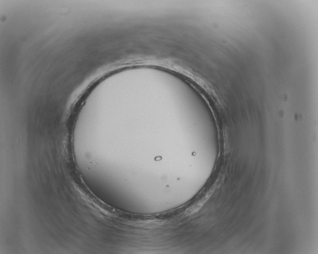 X0000072961502200608111638