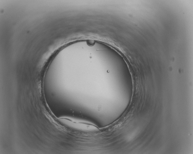 X0000072961503200608111638