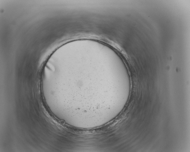 X0000072961504200608111638