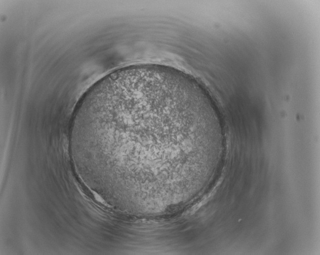 X0000072961505200608111638