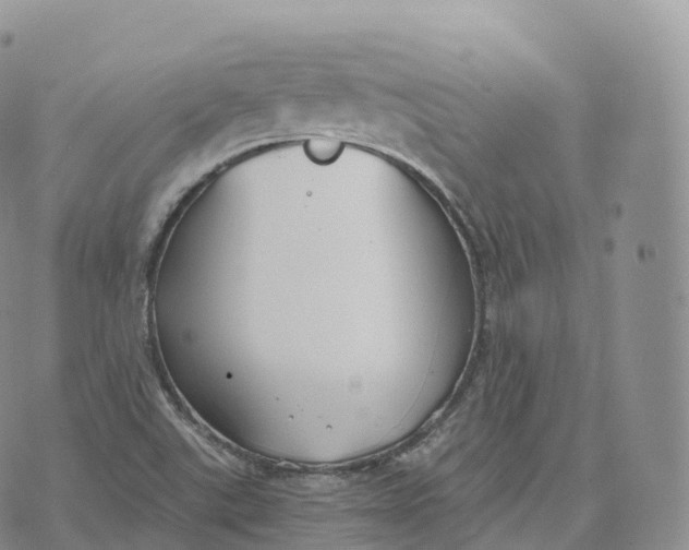 X0000072961507200608111638