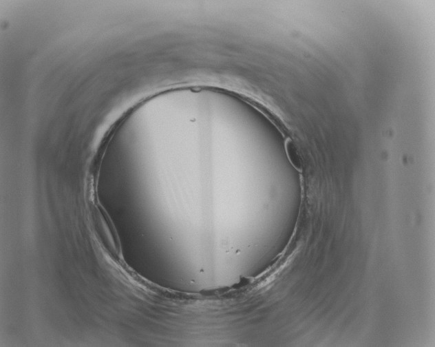 X0000072961510200608111638