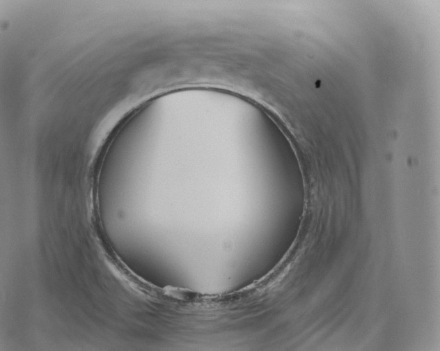 X0000072961511200608111638