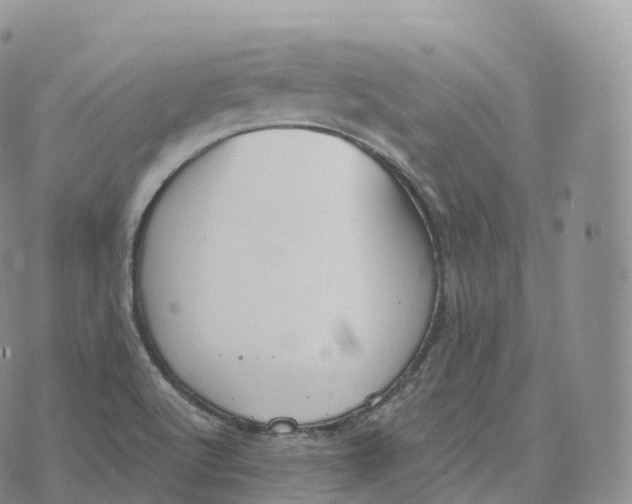 X0000072961512200608111638