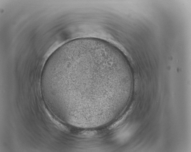 X0000072961513200608111638