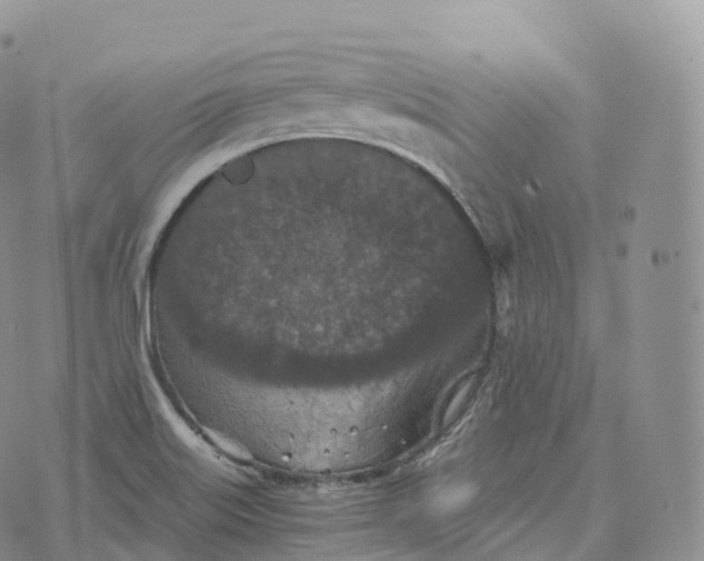 X0000072961515200608111638