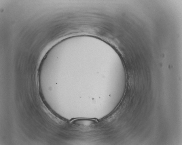 X0000072961516200608111638