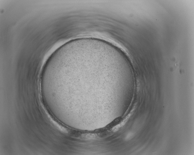 X0000072961517200608111638