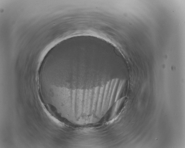 X0000072961519200608111638