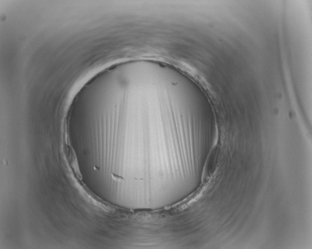 X0000072961520200608111638