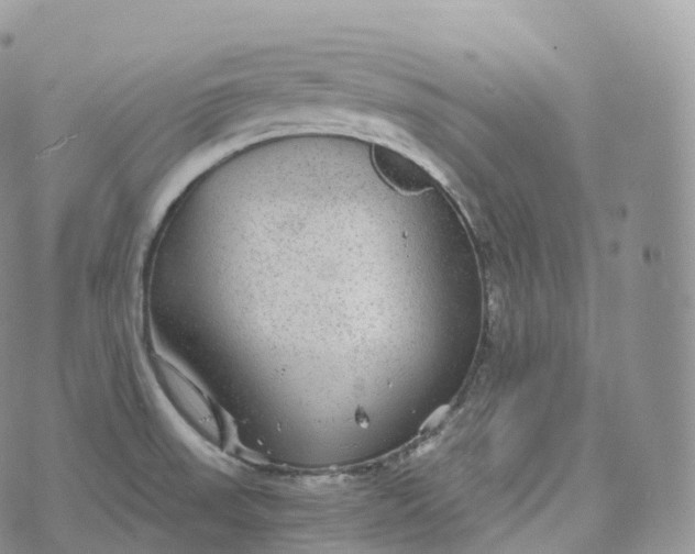 X0000072961523200608111638