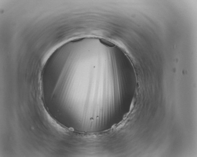 X0000072961524200608111638