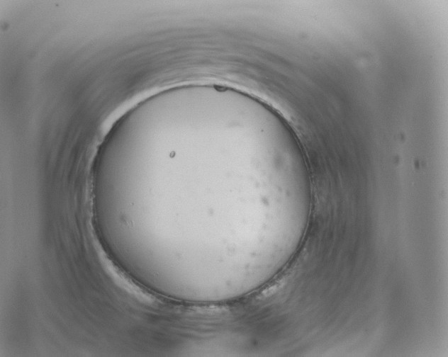 X0000072961526200608111638