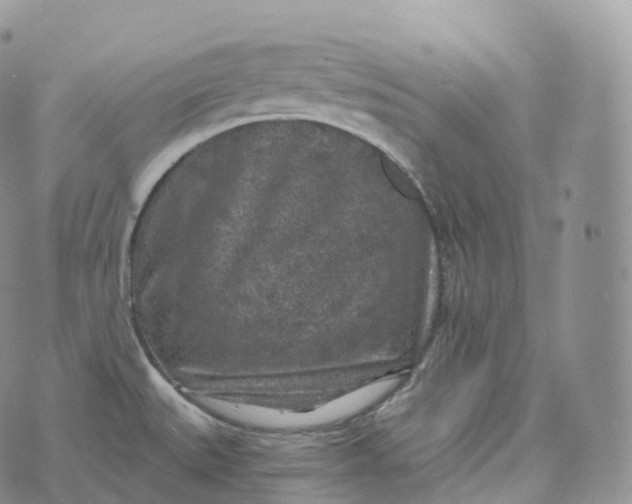 X0000072961527200608111638