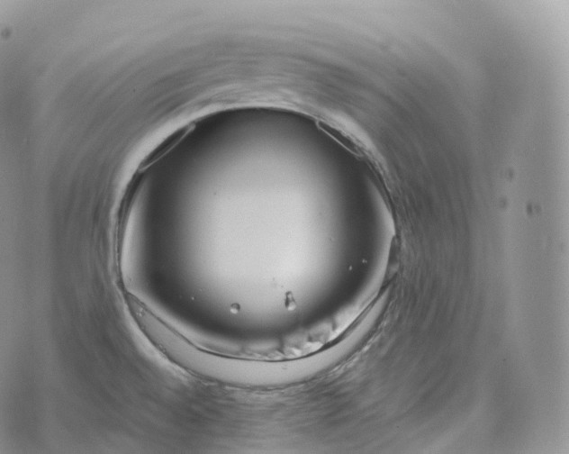 X0000072961528200608111638