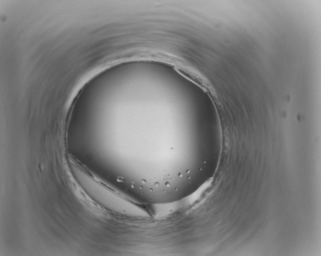 X0000072961530200608111638