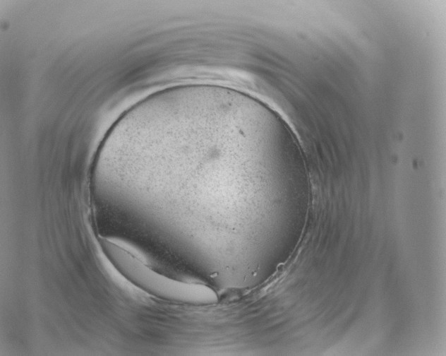 X0000072961531200608111638