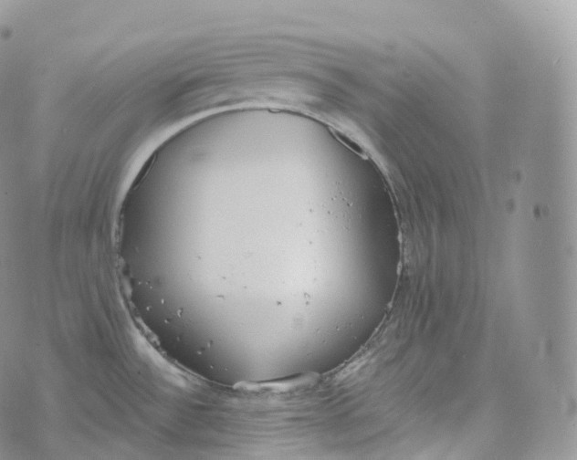 X0000072961532200608111638