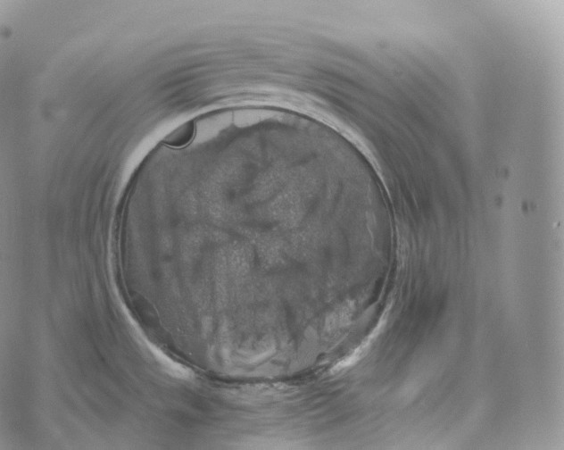 X0000072961533200608111638