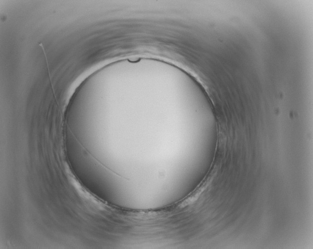 X0000072961534200608111638