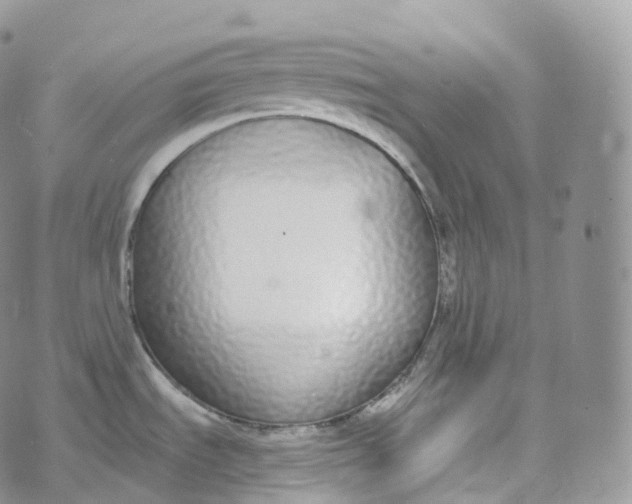 X0000072961535200608111638