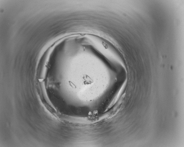 X0000072961536200608111638