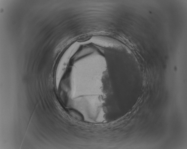 X0000072960002200608181443