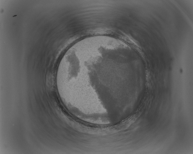 X0000072960012200608181443