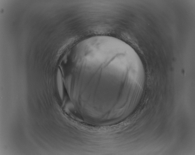 X0000072960019200608181443