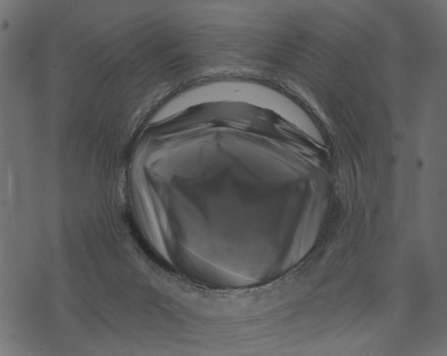 X0000072960023200608181443