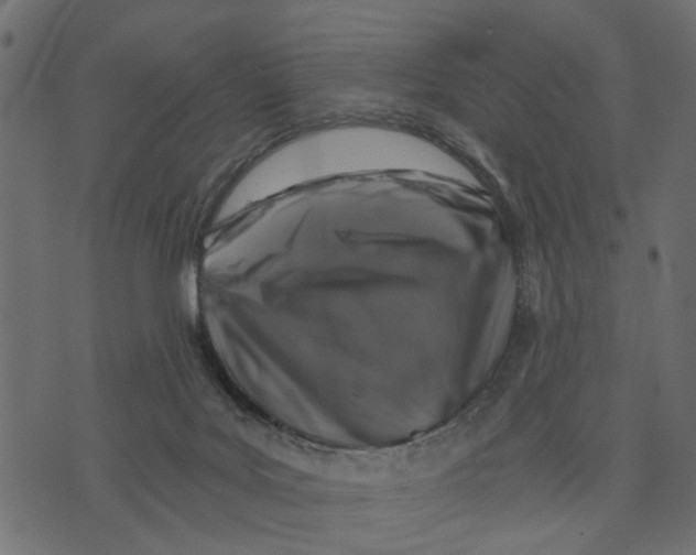 X0000072960027200608181443