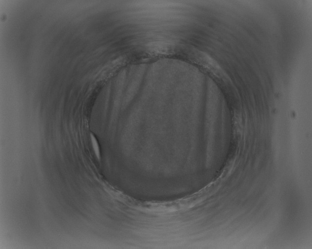 X0000072960029200608181442
