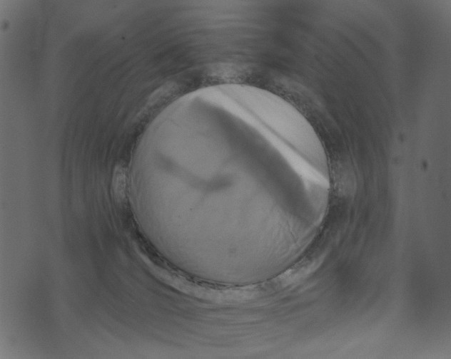 X0000072960036200608181442